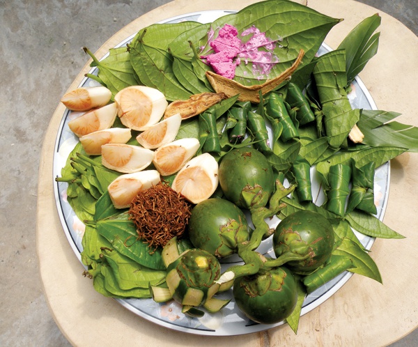 phong tục ăn trầu của người việt, phong tục ăn trầu cau, ý nghĩa của phong tục ăn trầu, phong tục ăn trầu của người việt nam